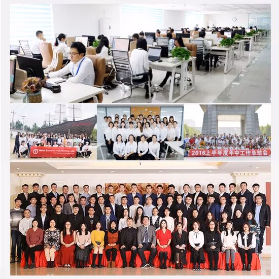 24PCS Eisen Box 1/2 Zoll Mechaniker Werkzeuge Set Chrom Vanadium Steckschlüssel Set für Befestigung